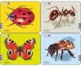 パズルミニ４枚セット昆虫　ラーセン社　紙製ジグソーパズル
